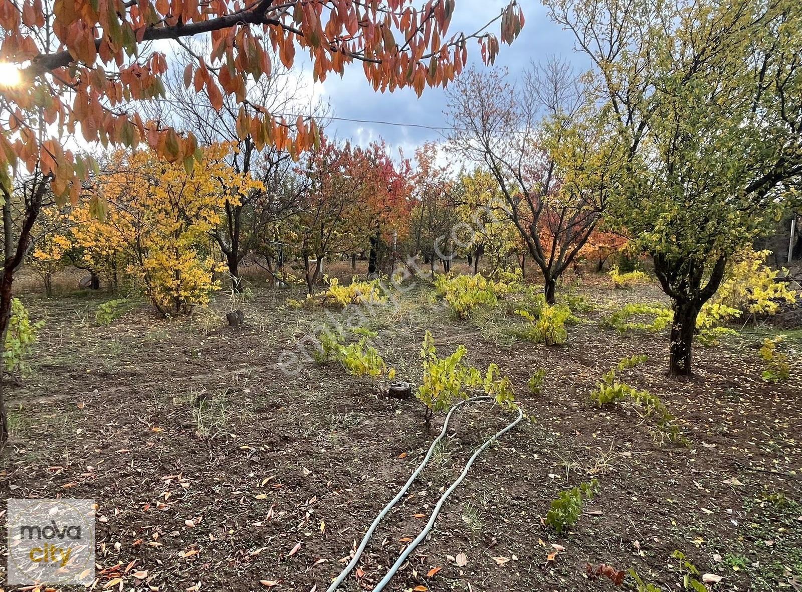 İbrahim Çayırında 1045 M2 Satılık Villa Arsası - Görsel 20