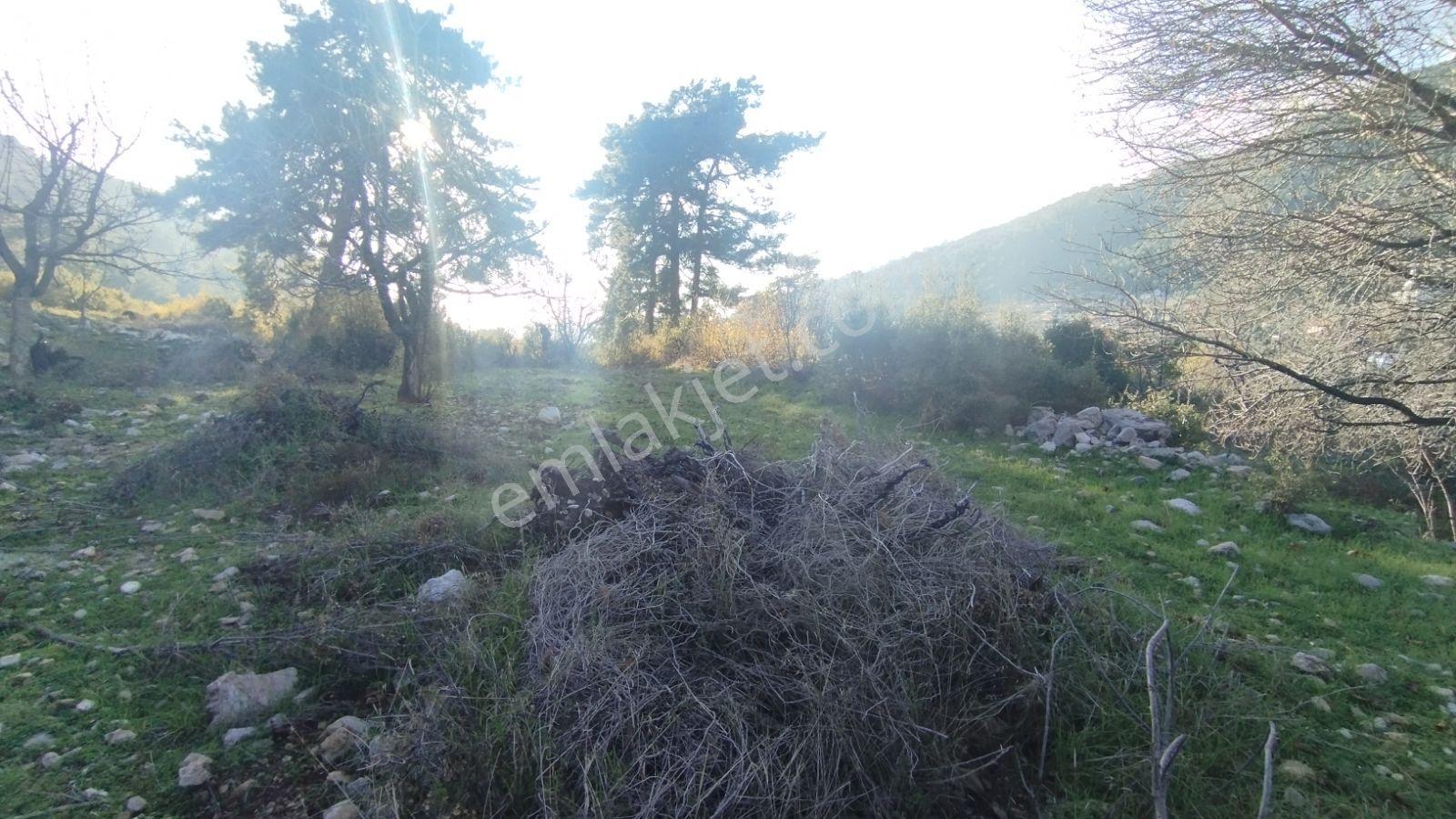 Fethiye/kızılbel'de Köyiçi İmarlı Satılık Arsa - Görsel 11