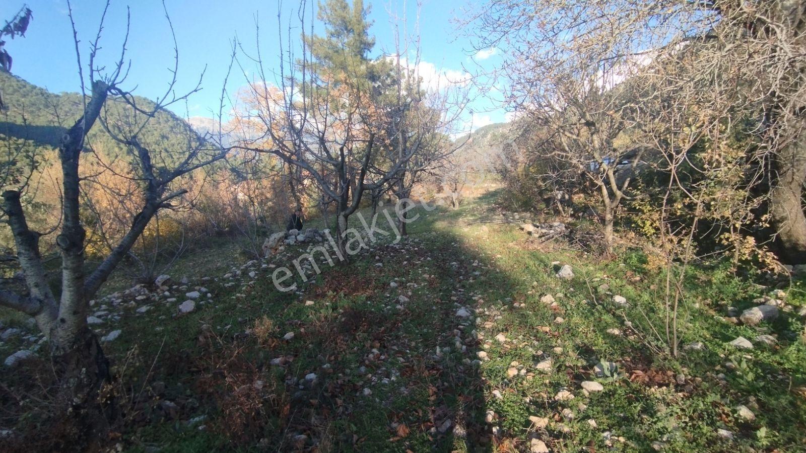 Fethiye/kızılbel'de Köyiçi İmarlı Satılık Arsa - Görsel 16
