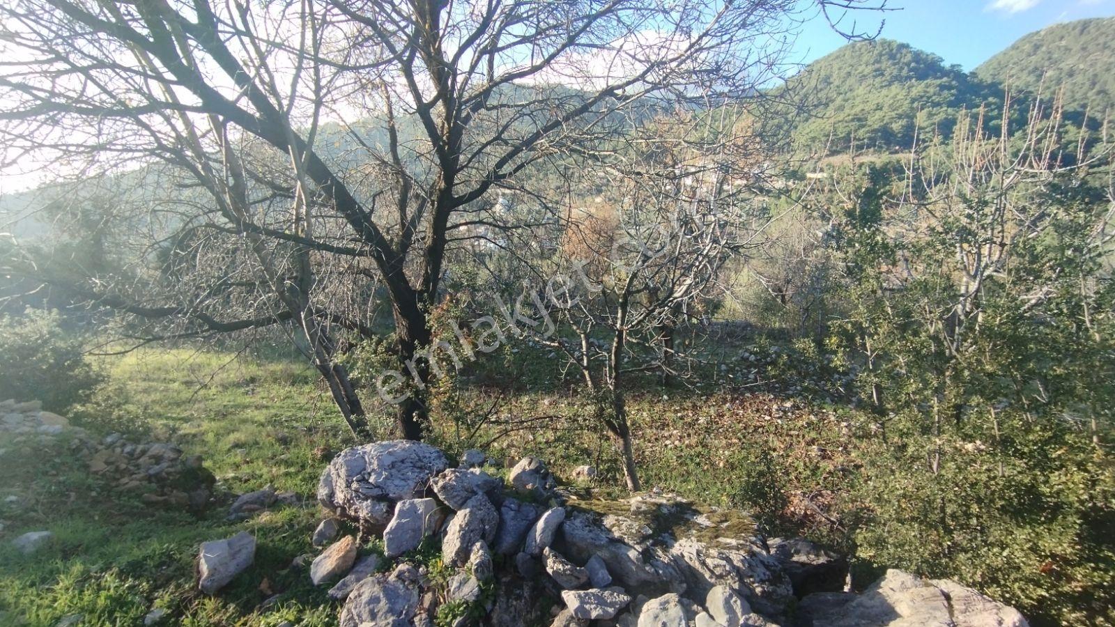 Fethiye/kızılbel'de Köyiçi İmarlı Satılık Arsa - Görsel 7