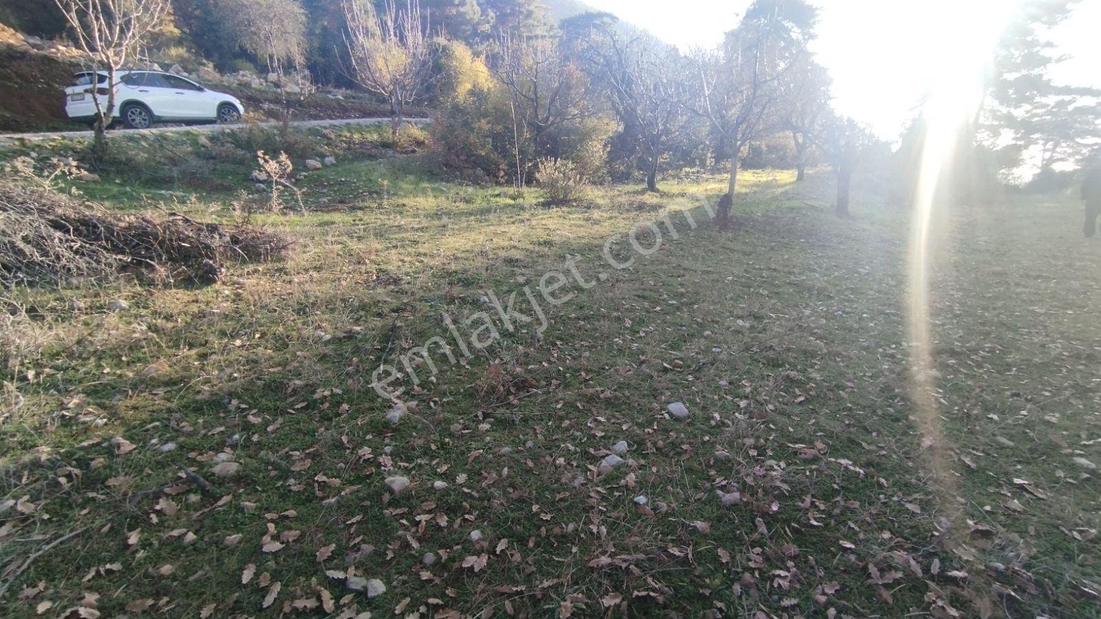 Fethiye/kızılbel'de Köyiçi İmarlı Satılık Arsa - Görsel 33