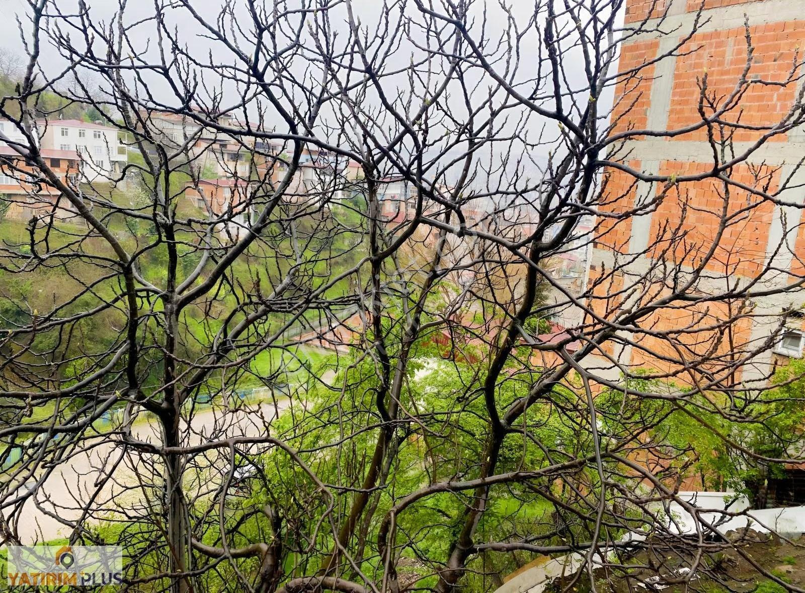 Yatırım Plus'tan 6 Kata İmarlı Fırsat Arsa - Görsel 8