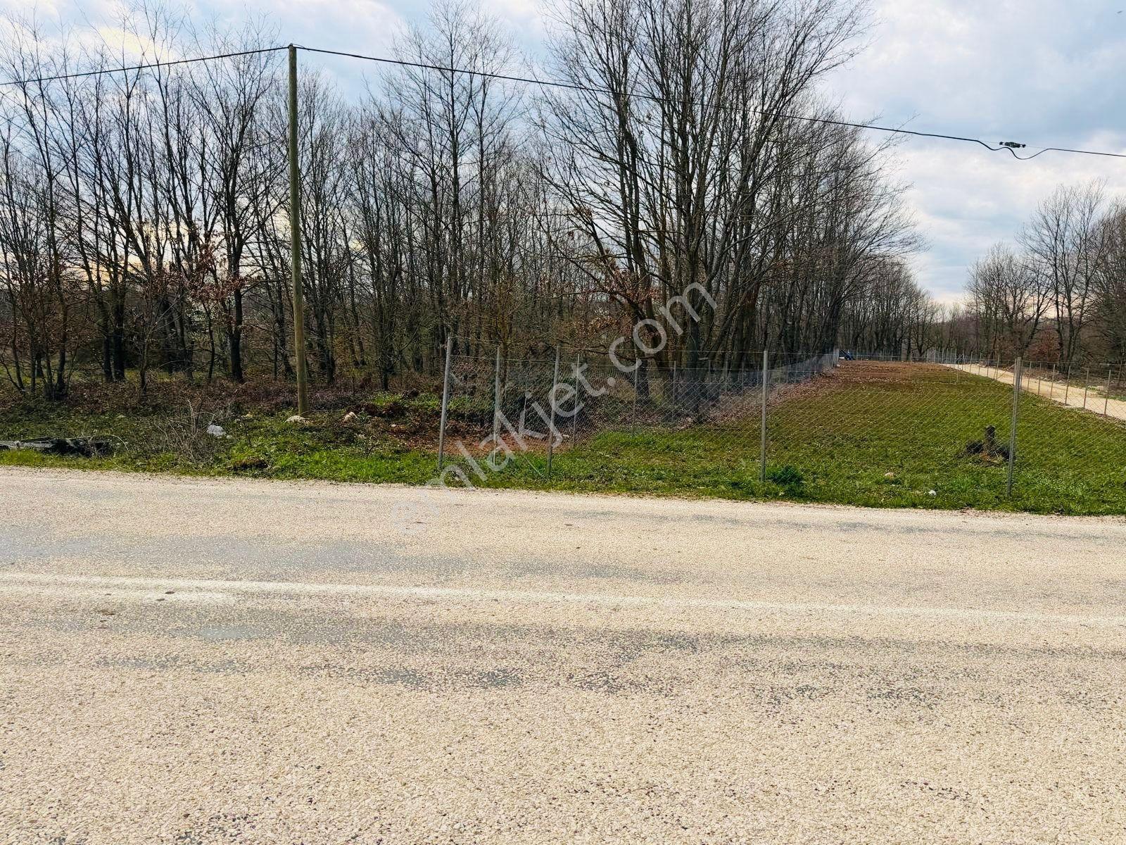 Bursa Mustafakemalpaşa Kazanpınar 3000 M2 Tarlanın 750m2 Satılık - Görsel 22