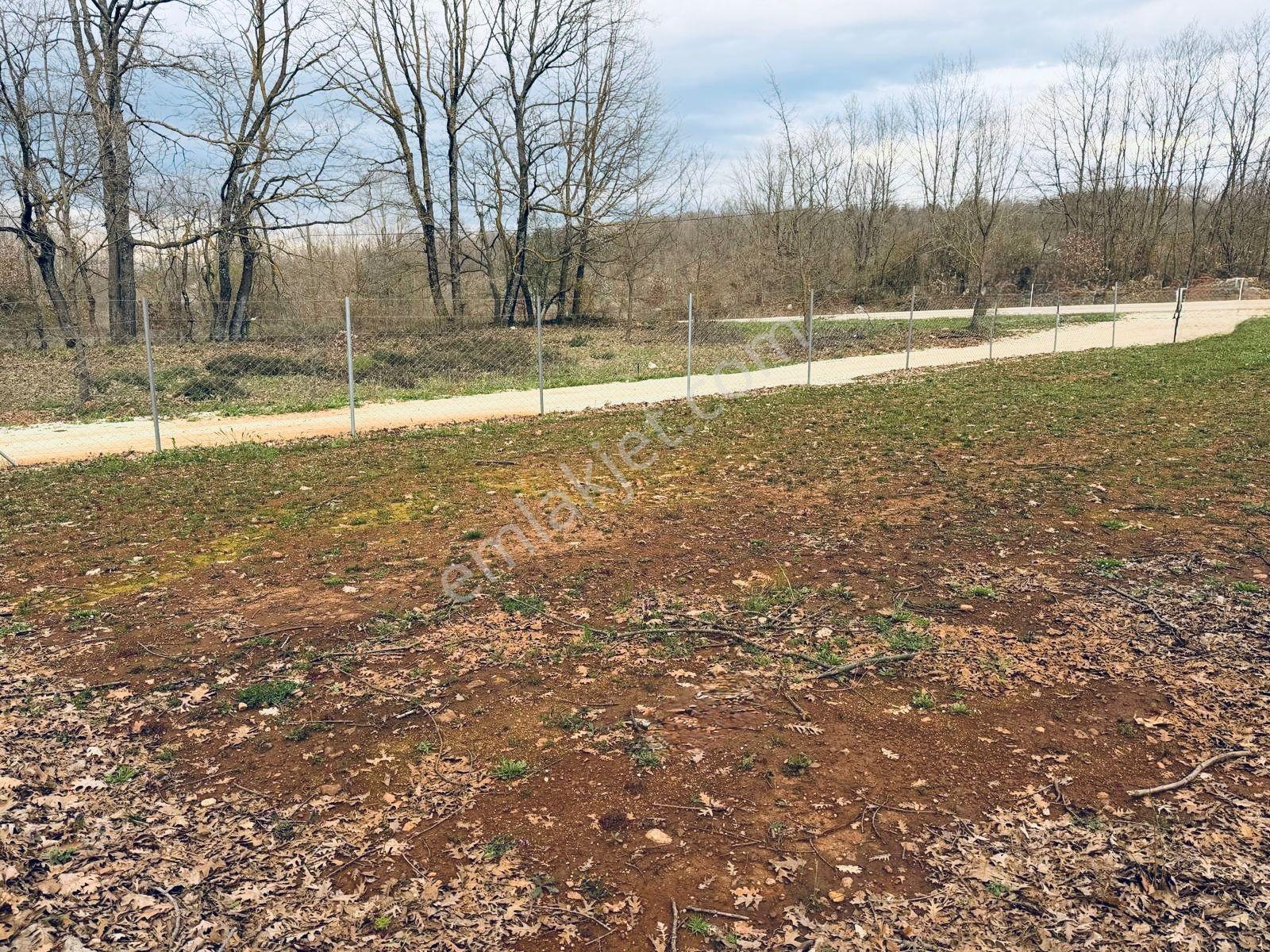 Bursa Mustafakemalpaşa Kazanpınar 3000 M2 Tarlanın 750m2 Satılık - Görsel 8