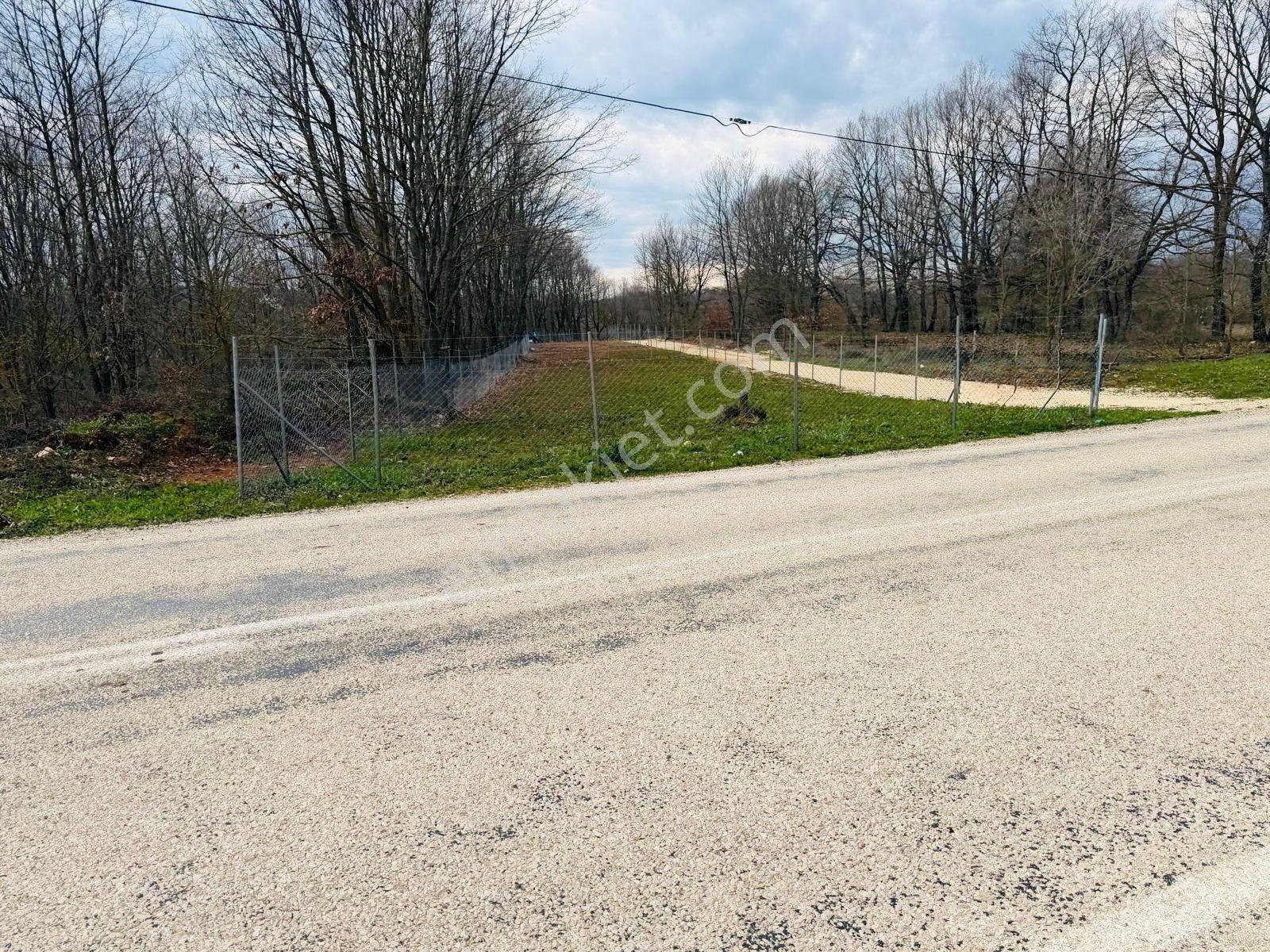 Bursa Mustafakemalpaşa Kazanpınar 3000 M2 Tarlanın 750m2 Satılık - Görsel 21
