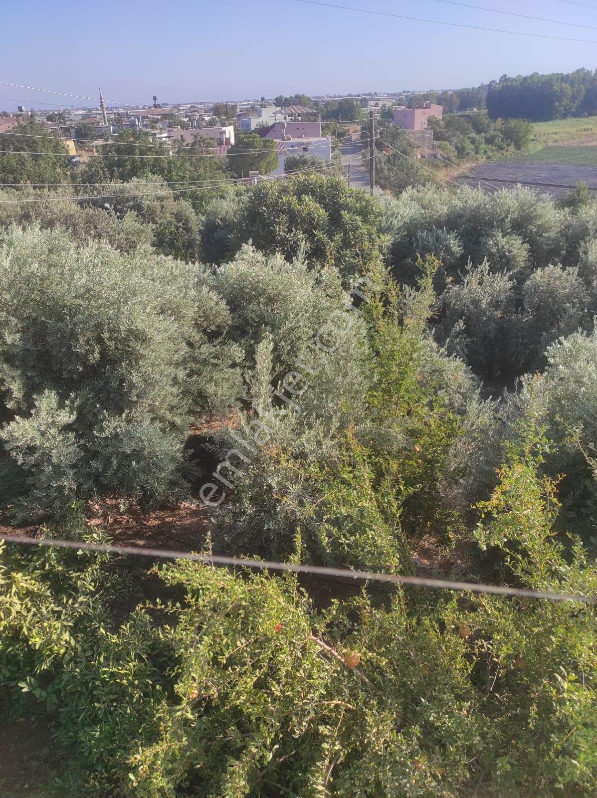 Kapızlıda 2 Katlı Müstakil Ev | 523 M² Arsa İçinde - Görsel 17