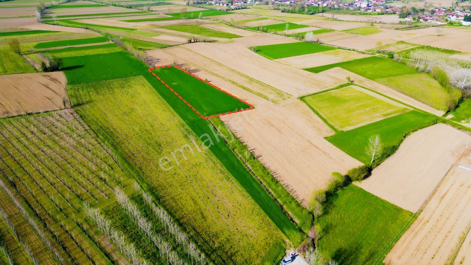 Uzunçınar'da Satılık 5.152 M2 Yatırımlık Tarla - Görsel 10