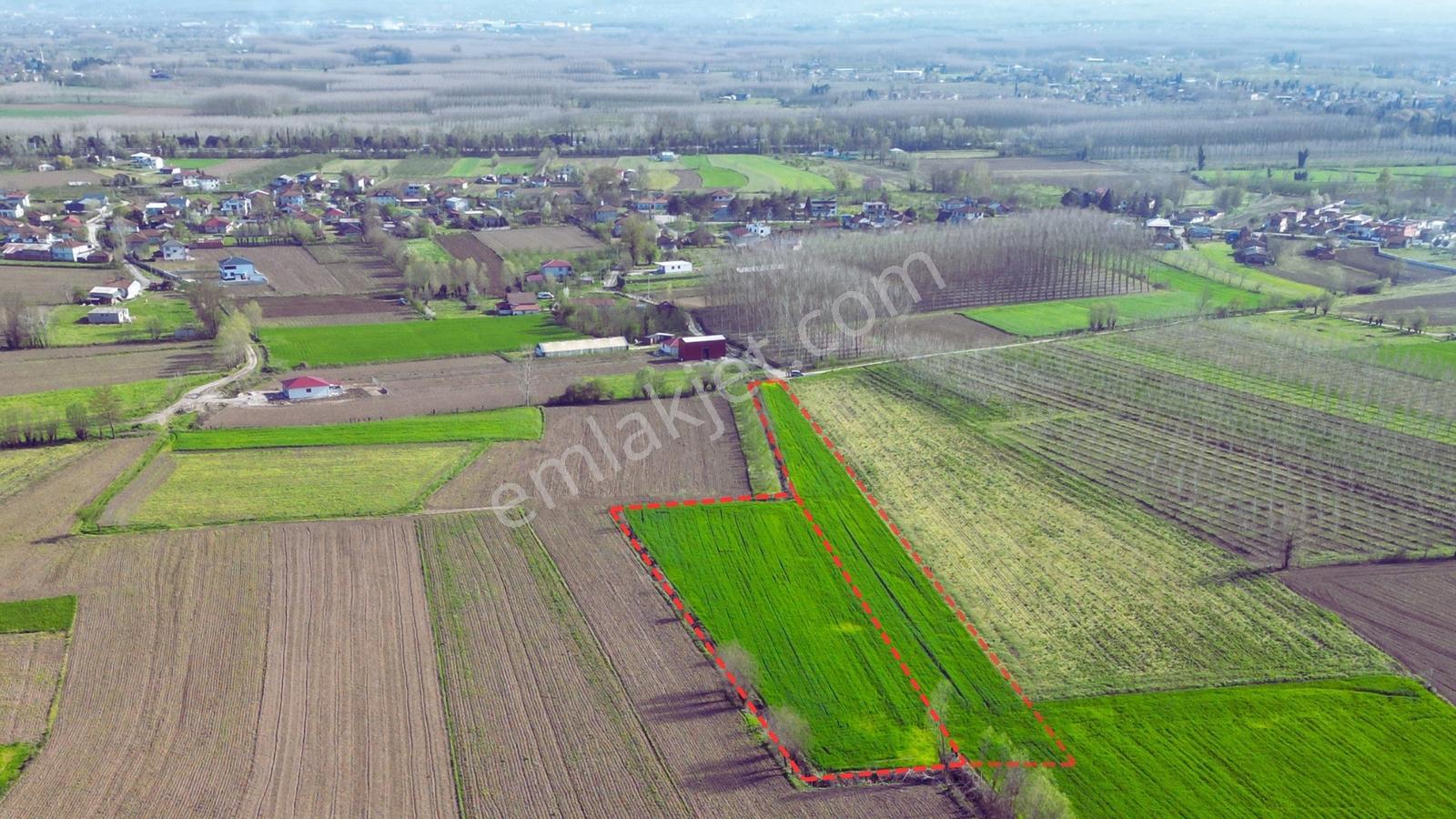 Uzunçınar'da Satılık 5.152 M2 Yatırımlık Tarla - Görsel 4
