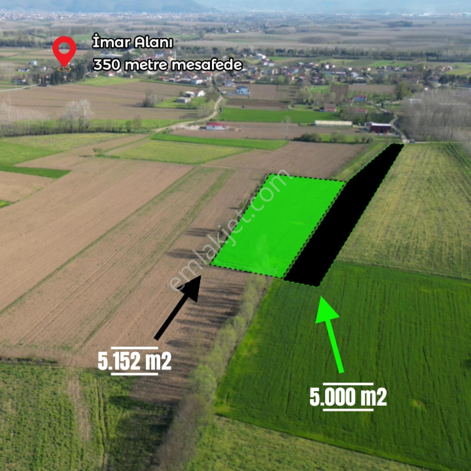 Uzunçınar'da Satılık 5.152 M2 Yatırımlık Tarla - Görsel 8