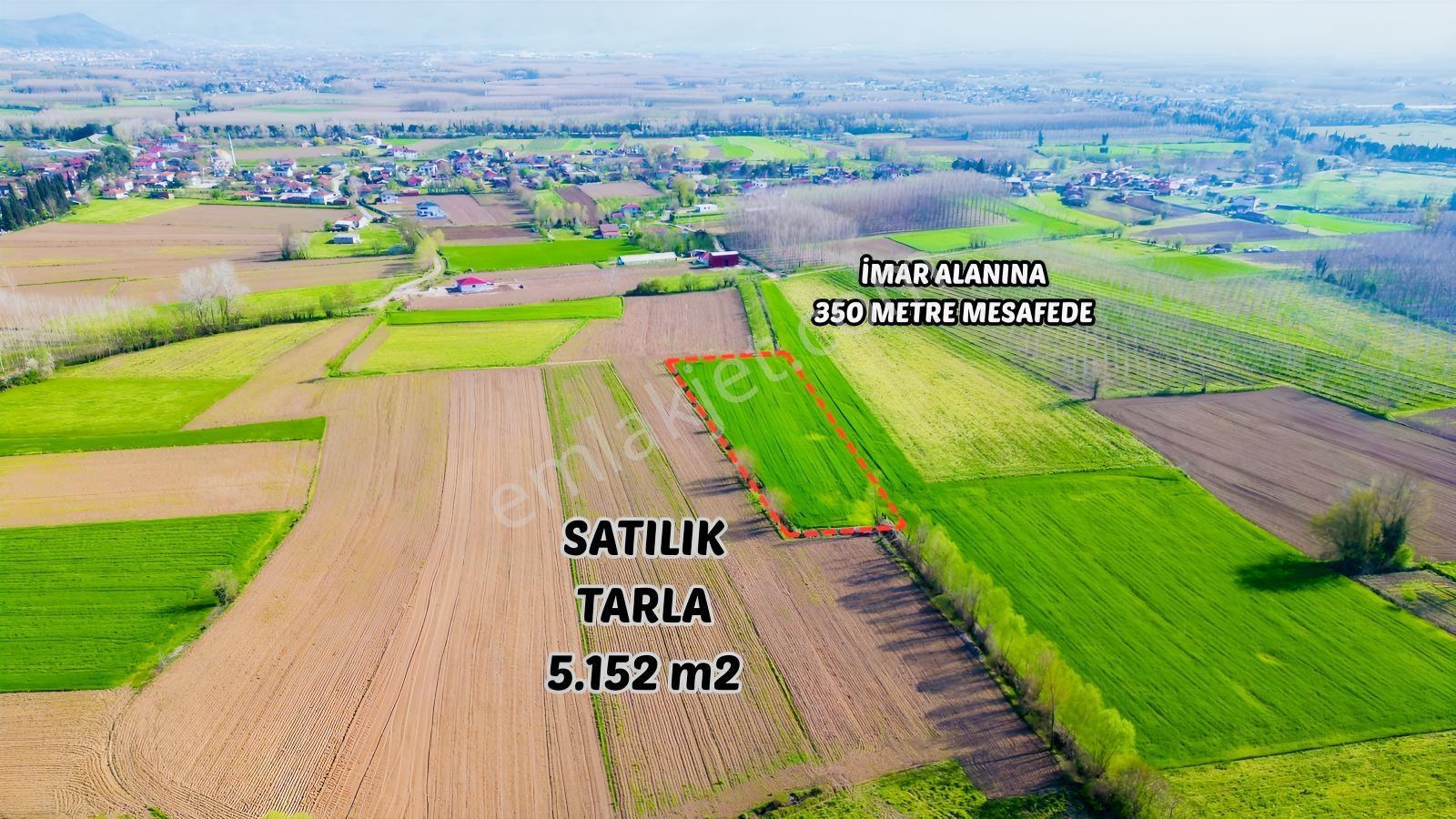Uzunçınar'da Satılık 5.152 M2 Yatırımlık Tarla - Görsel 3