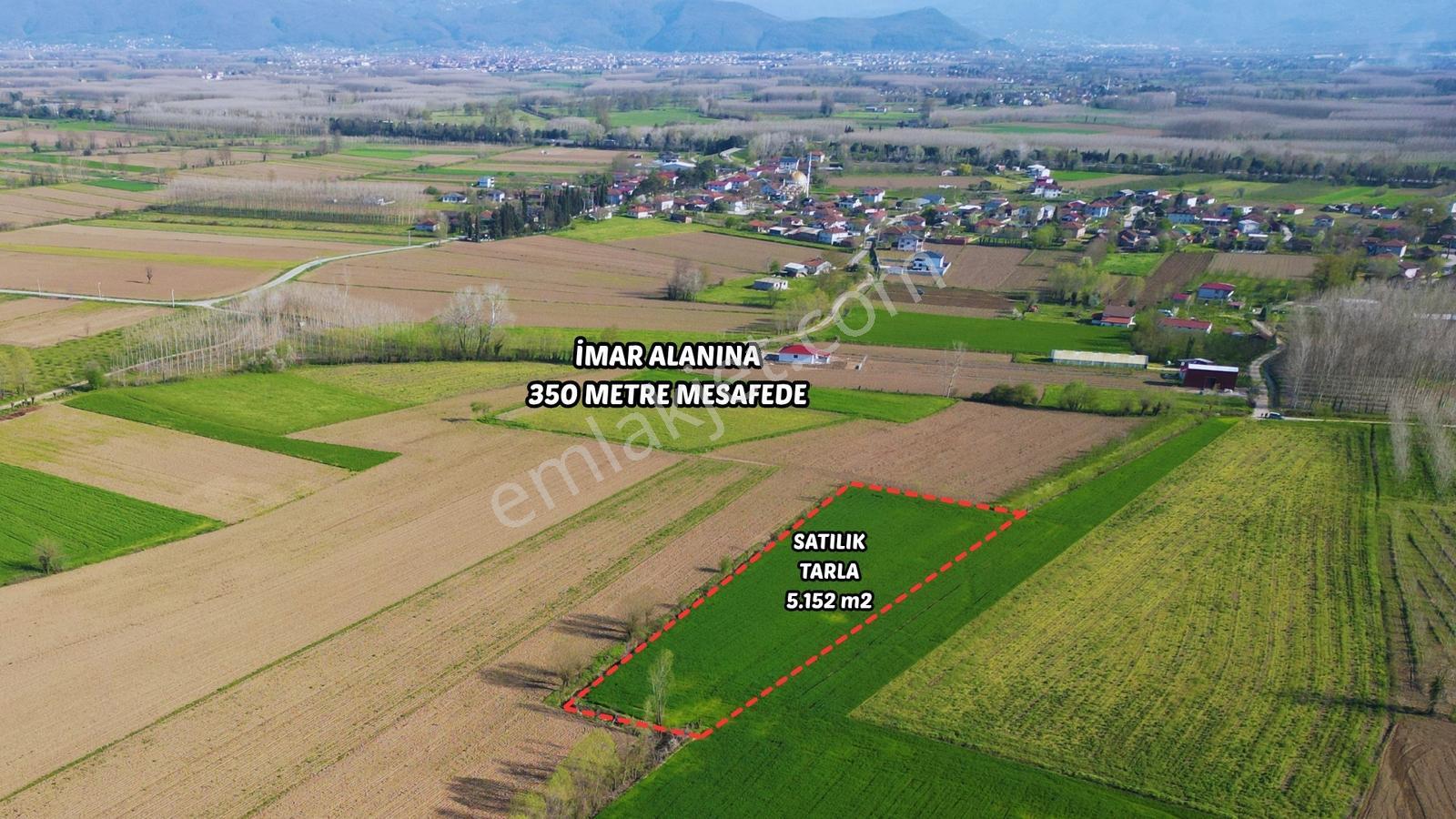 Uzunçınar'da Satılık 5.152 M2 Yatırımlık Tarla - Görsel 6