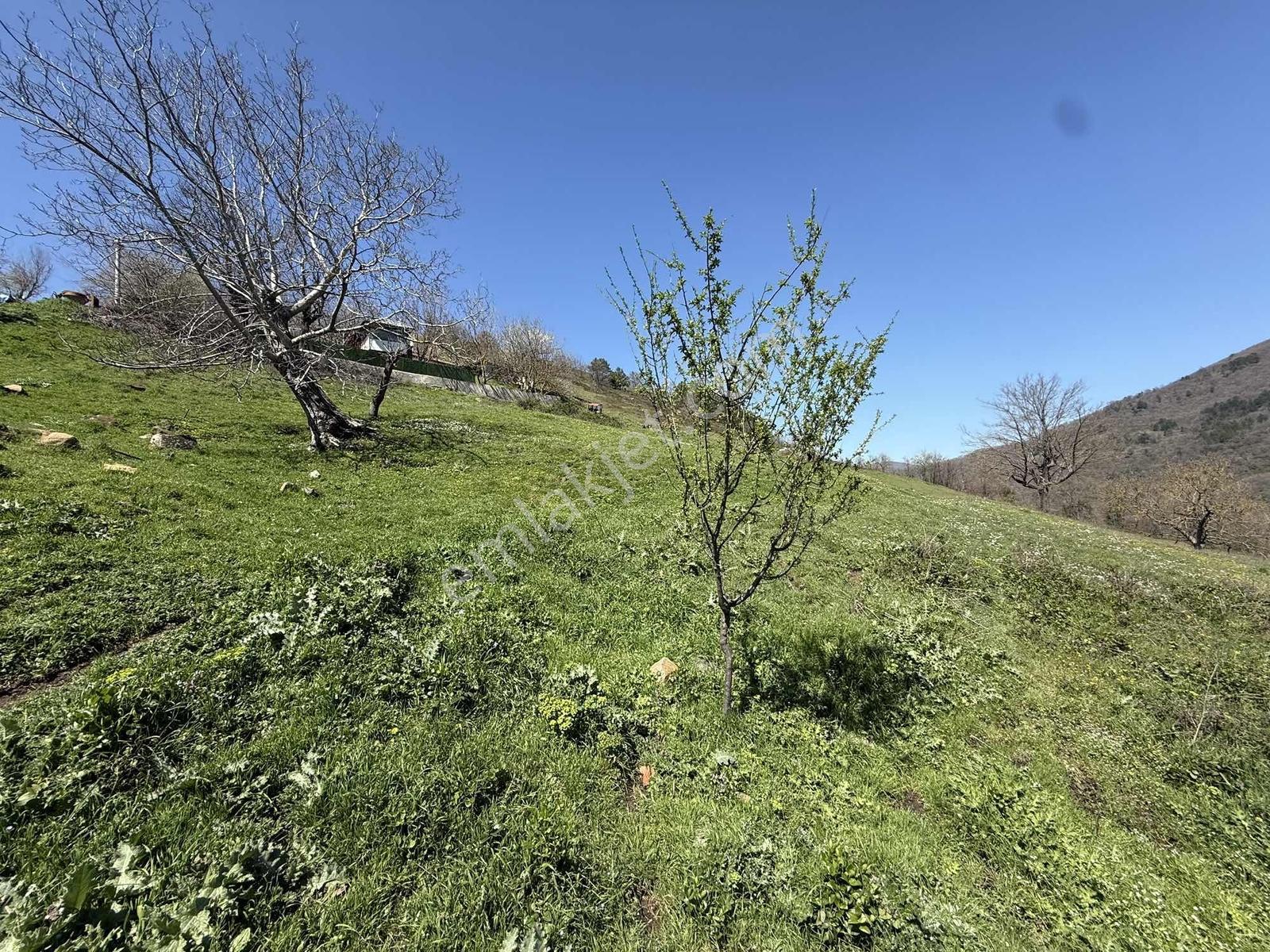 Karamürsel Kadriye'de %40 Yapı İzni Olan 1775 M2 İmarlı Arsa - Görsel 33