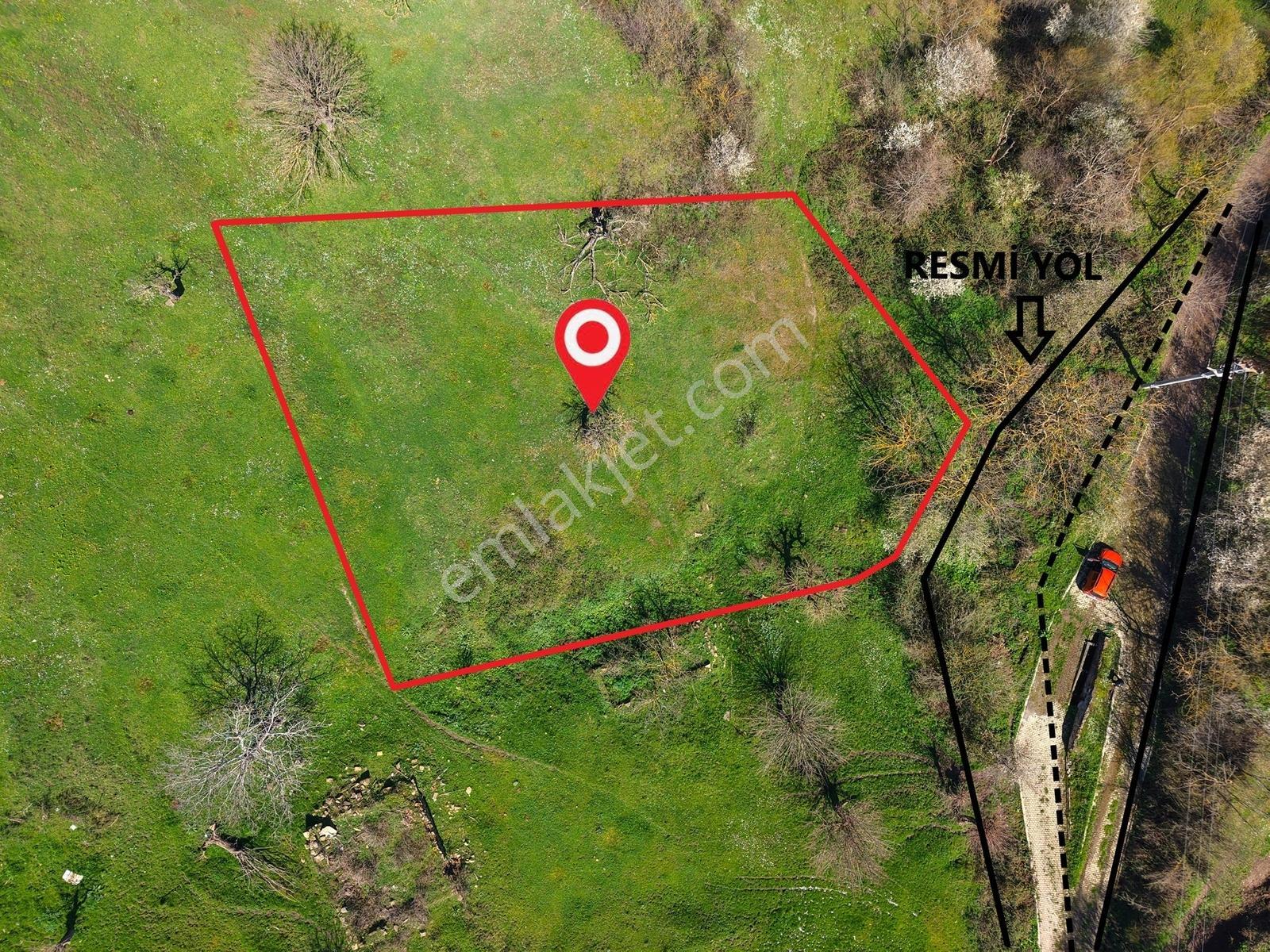 Karamürsel Kadriye'de %40 Yapı İzni Olan 1775 M2 İmarlı Arsa