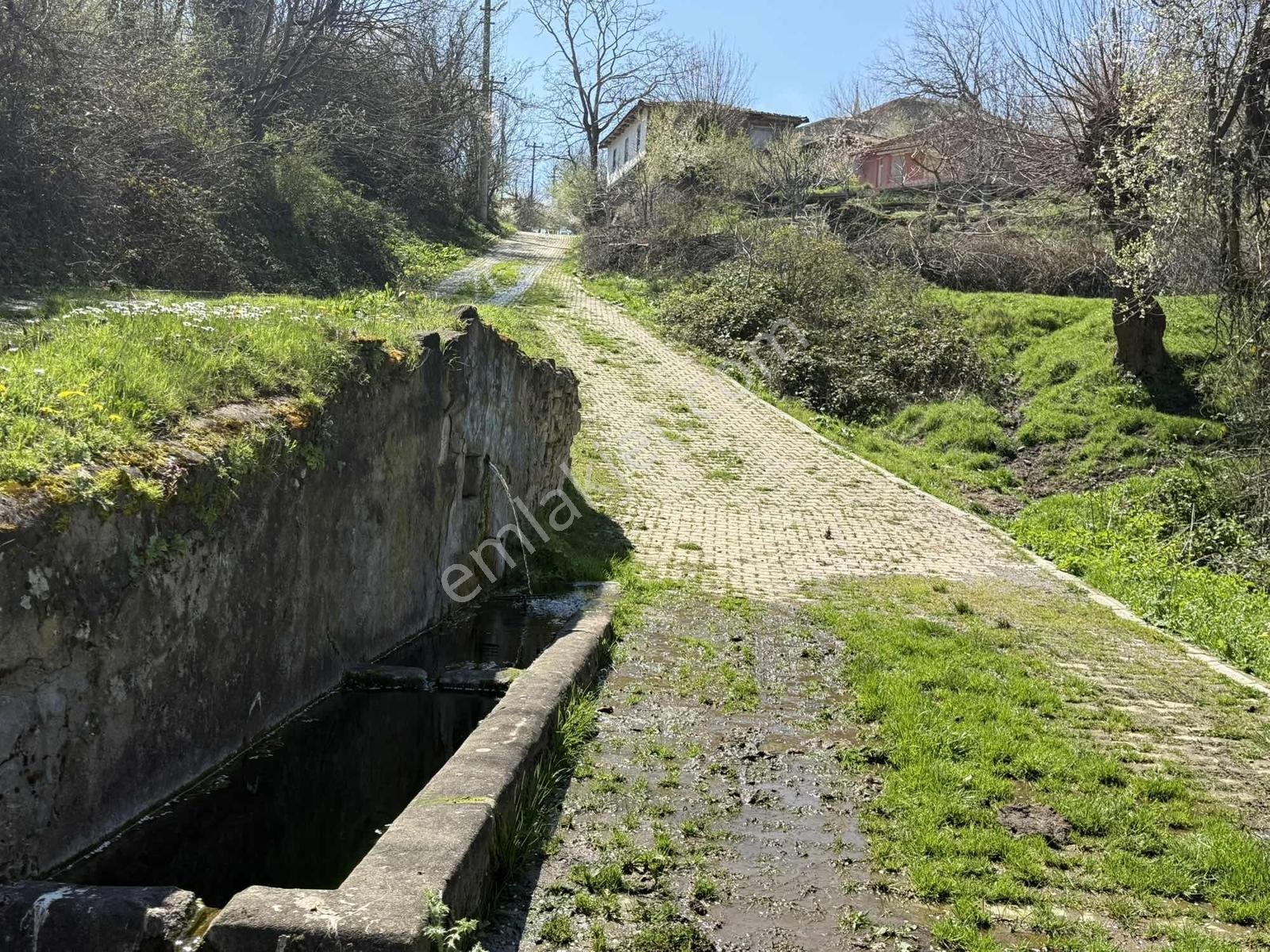 Karamürsel Kadriye'de %40 Yapı İzni Olan 1775 M2 İmarlı Arsa - Görsel 14