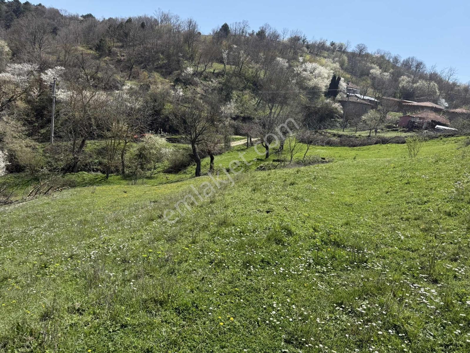 Karamürsel Kadriye'de %40 Yapı İzni Olan 1775 M2 İmarlı Arsa - Görsel 19