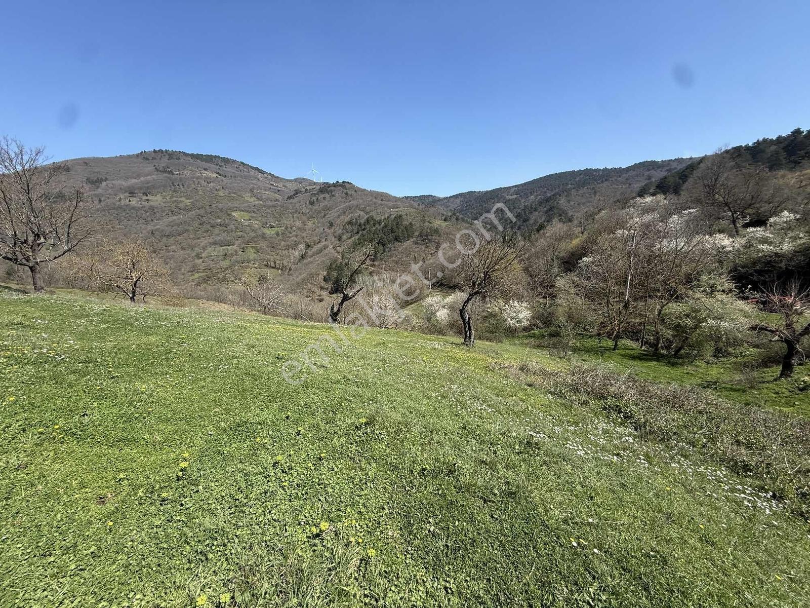 Karamürsel Kadriye'de %40 Yapı İzni Olan 1775 M2 İmarlı Arsa - Görsel 11