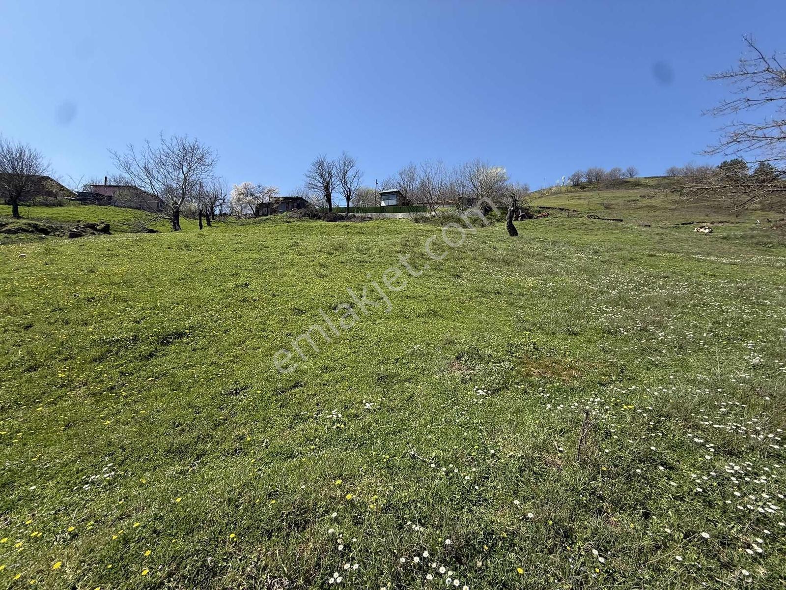 Karamürsel Kadriye'de %40 Yapı İzni Olan 1775 M2 İmarlı Arsa - Görsel 12