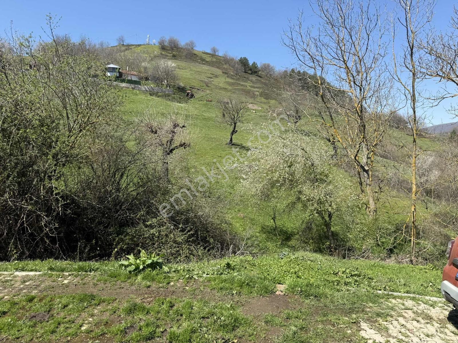 Karamürsel Kadriye'de %40 Yapı İzni Olan 1775 M2 İmarlı Arsa - Görsel 31