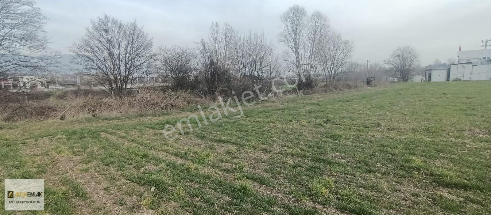 Bolu Altın Emlak Çarşı Temsilciliği Satılık Tarla