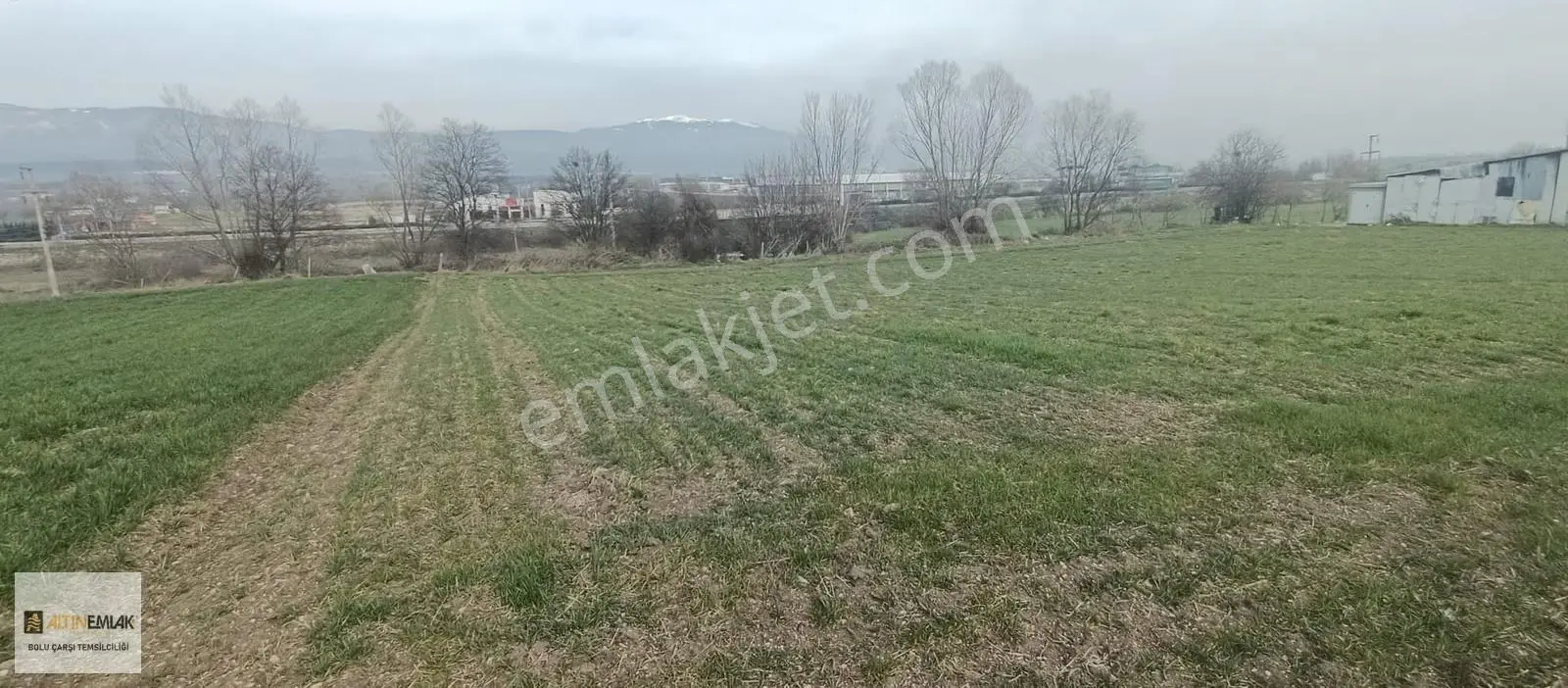 Bolu Altın Emlak Çarşı Temsilciliği Satılık Tarla - Görsel 4