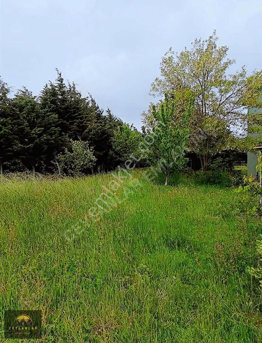 Çatalca Binkılıç'ta 900m² Villa İmarlı Arsa - Görsel 5