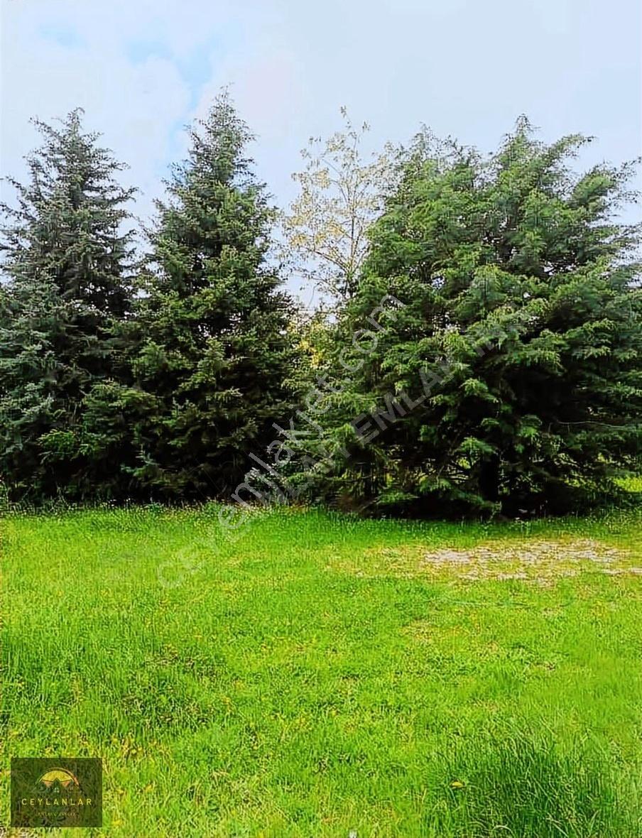 Çatalca Binkılıç'ta 900m² Villa İmarlı Arsa - Görsel 7