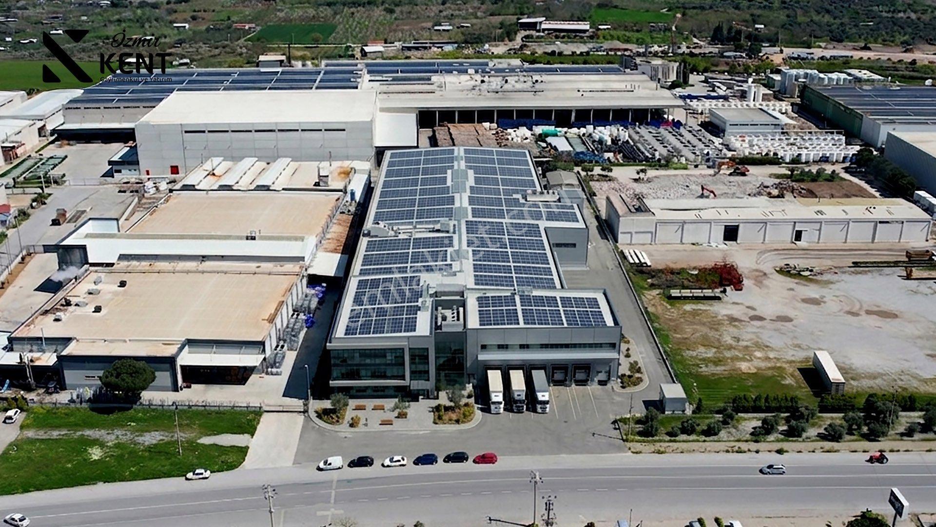 Kemalpaşa Armutlu Satılık 9.670m2 Sanayi İmarlı Arsa - Görsel 6