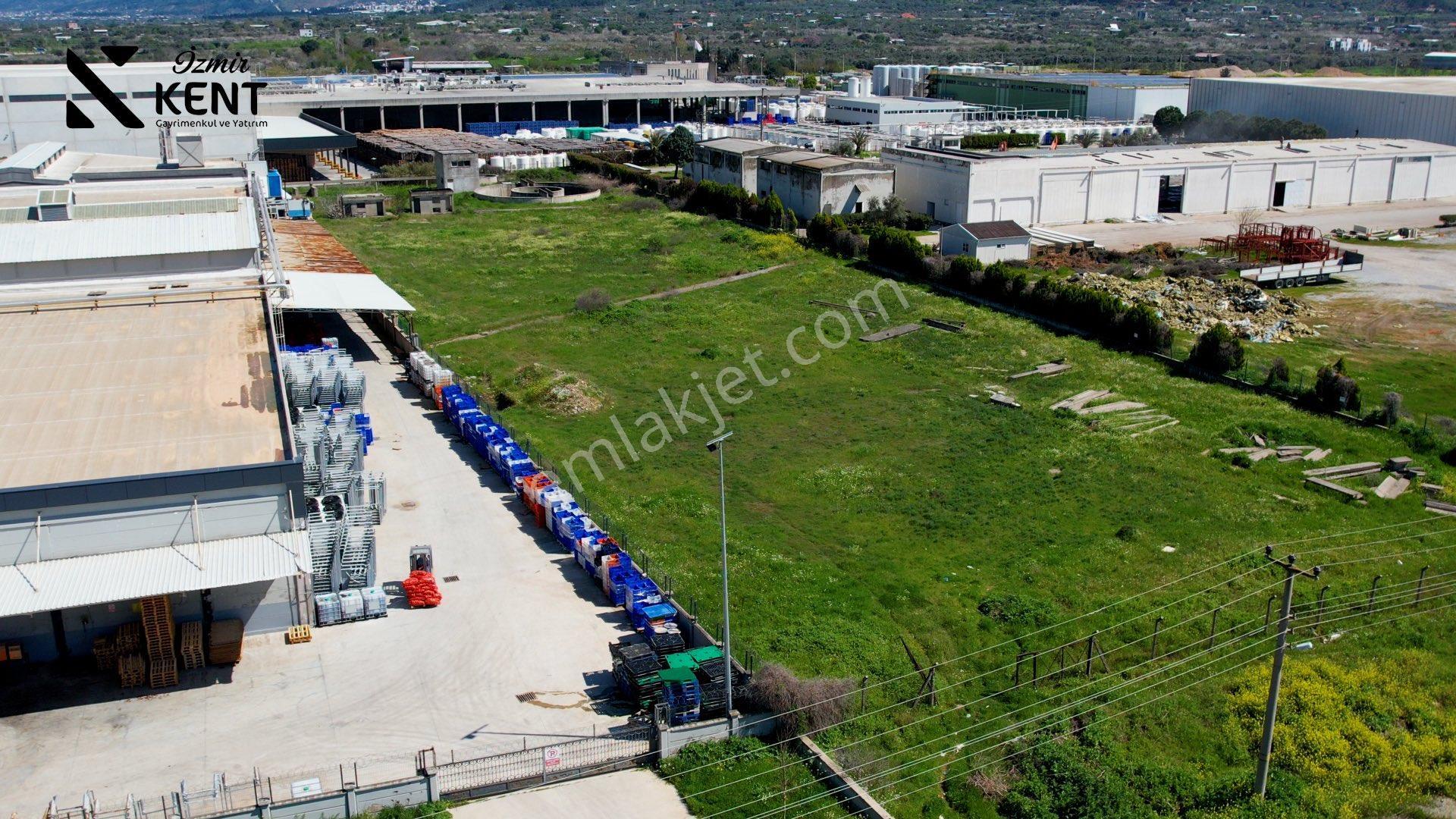 Kemalpaşa Armutlu Satılık 9.670m2 Sanayi İmarlı Arsa - Görsel 2