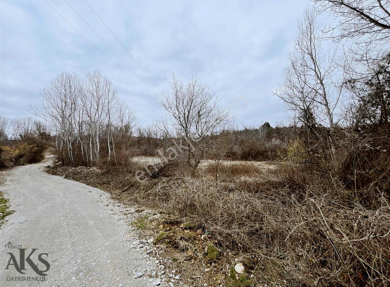 Kastamonu Bozoğlak'ta 5819m Köşe Cephe Tarla Bahçe Tapulu - Görsel 11