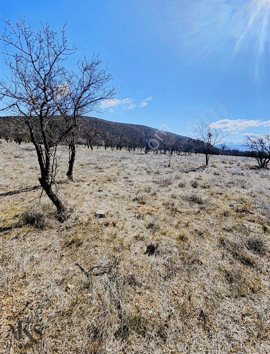 Senir'de 3.000m2 Tek Tapu Göl Manzaralı Badem Bahçesi - Görsel 8