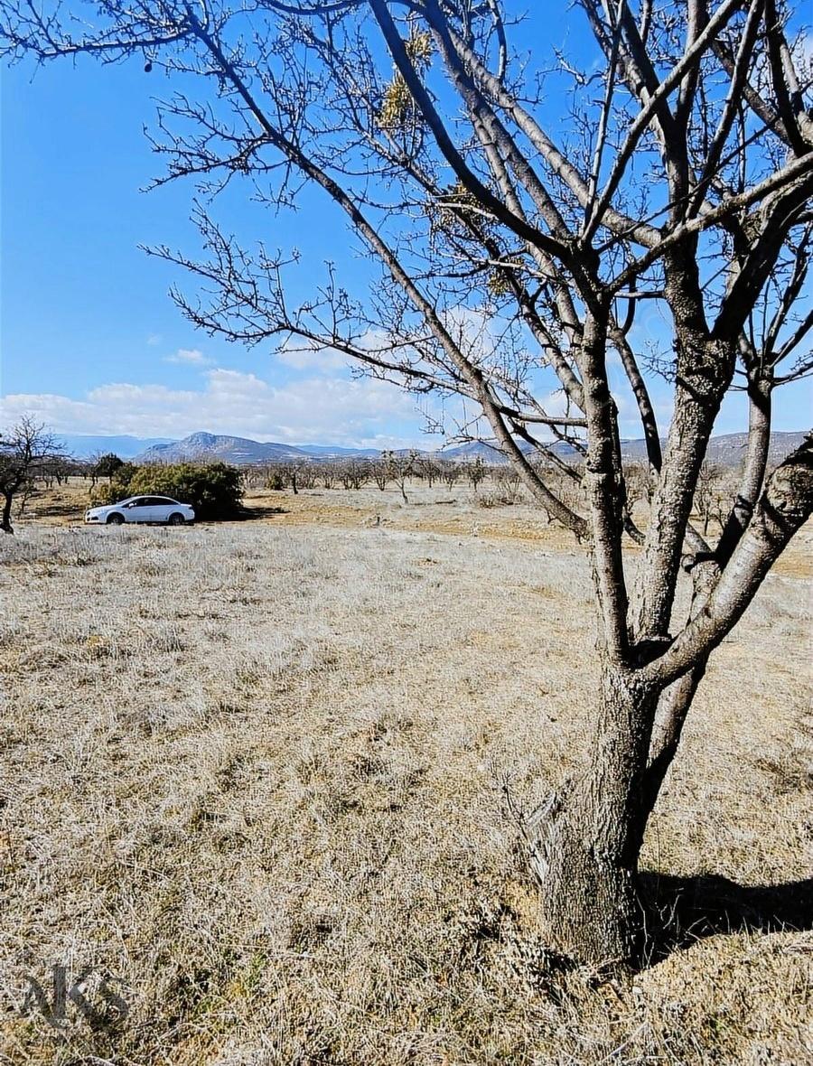 Senir'de 3.000m2 Tek Tapu Göl Manzaralı Badem Bahçesi - Görsel 5