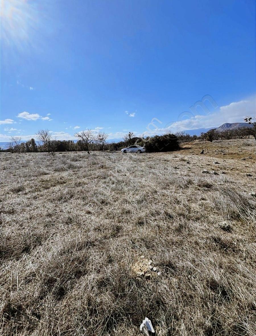 Senir'de 3.000m2 Tek Tapu Göl Manzaralı Badem Bahçesi - Görsel 4