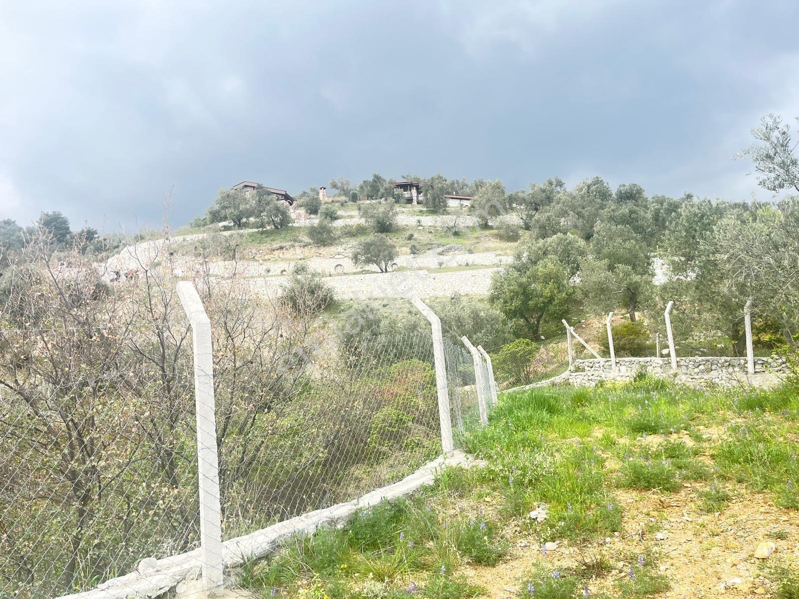 Kavuşturan Emlak'tan Güre Çamlıbel'de Deniz Manzaralı Zeytinlik - Görsel 28