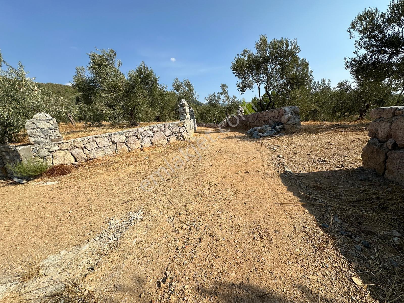 Kavuşturan Emlak'tan Güre Çamlıbel'de Deniz Manzaralı Zeytinlik - Görsel 16