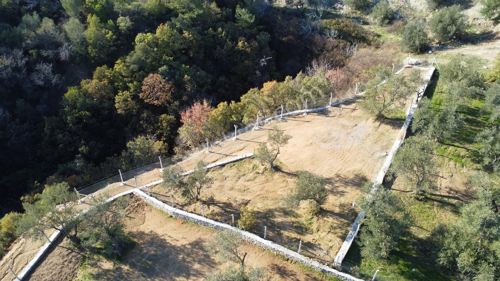 Kavuşturan Emlak'tan Güre Çamlıbel'de Deniz Manzaralı Zeytinlik - Görsel 31