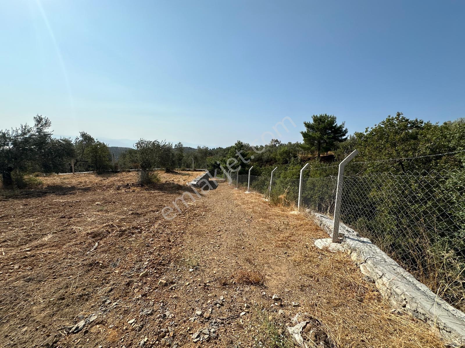 Kavuşturan Emlak'tan Güre Çamlıbel'de Deniz Manzaralı Zeytinlik - Görsel 25