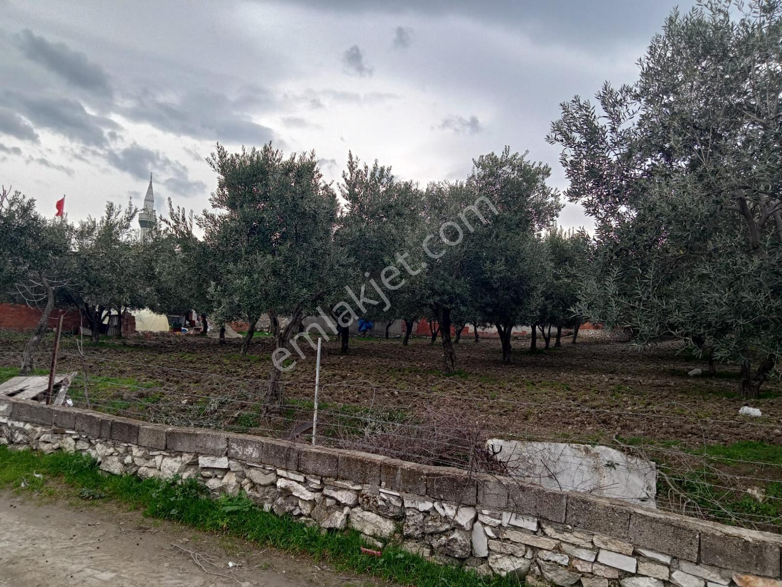 Uzun Emlak'tan Saruhanlı Çakmaklı'da İmarlı Arsa - Görsel 8