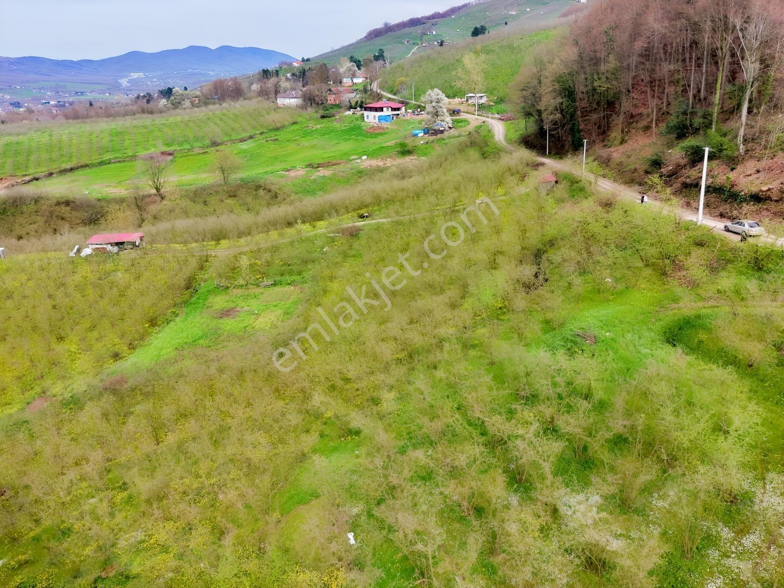 Emlakevim - Harmantepe Mahallesinde Satılık M2 İmarlı Arsa ! - Görsel 4