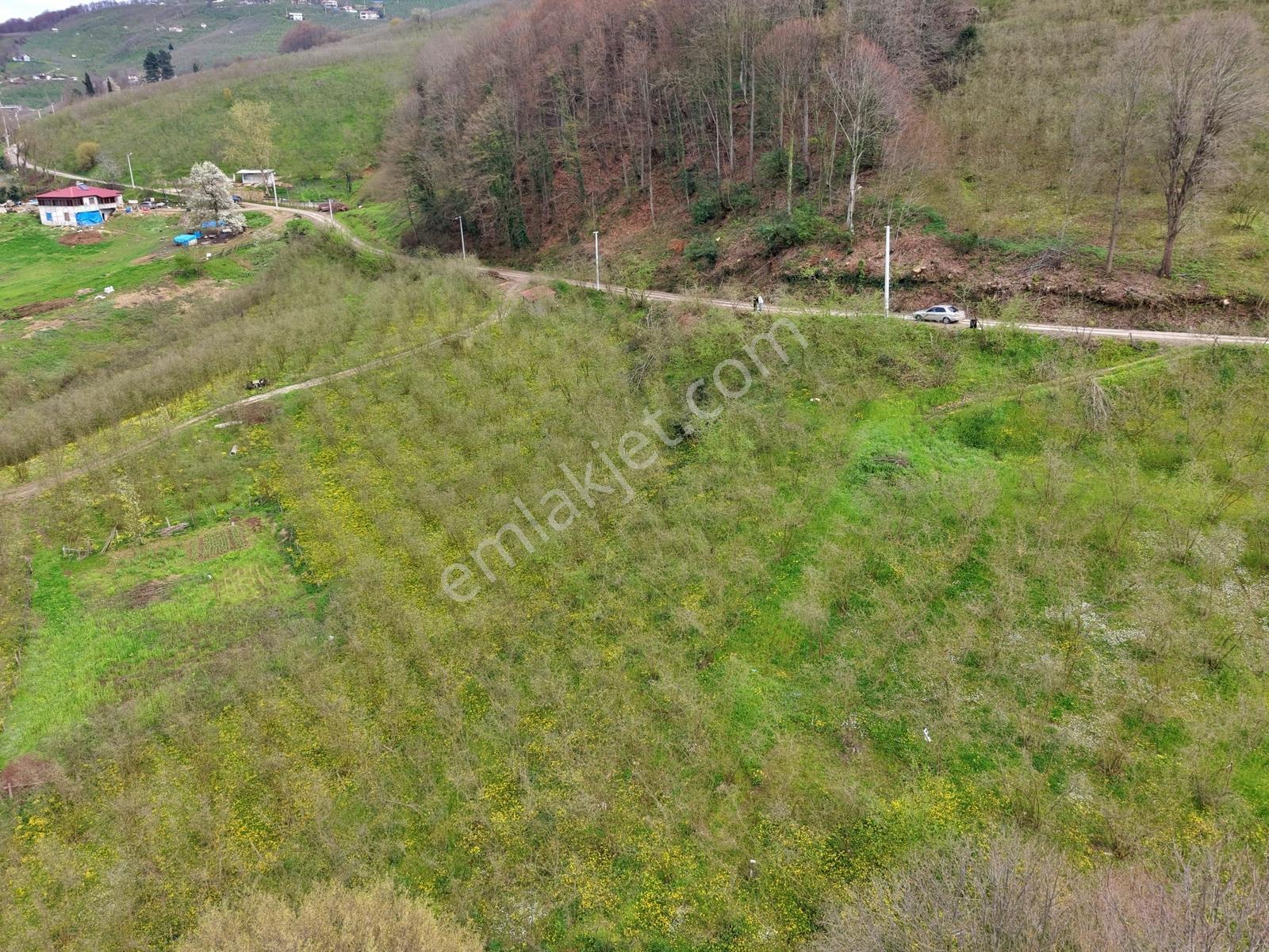 Emlakevim - Harmantepe Mahallesinde Satılık M2 İmarlı Arsa ! - Görsel 8
