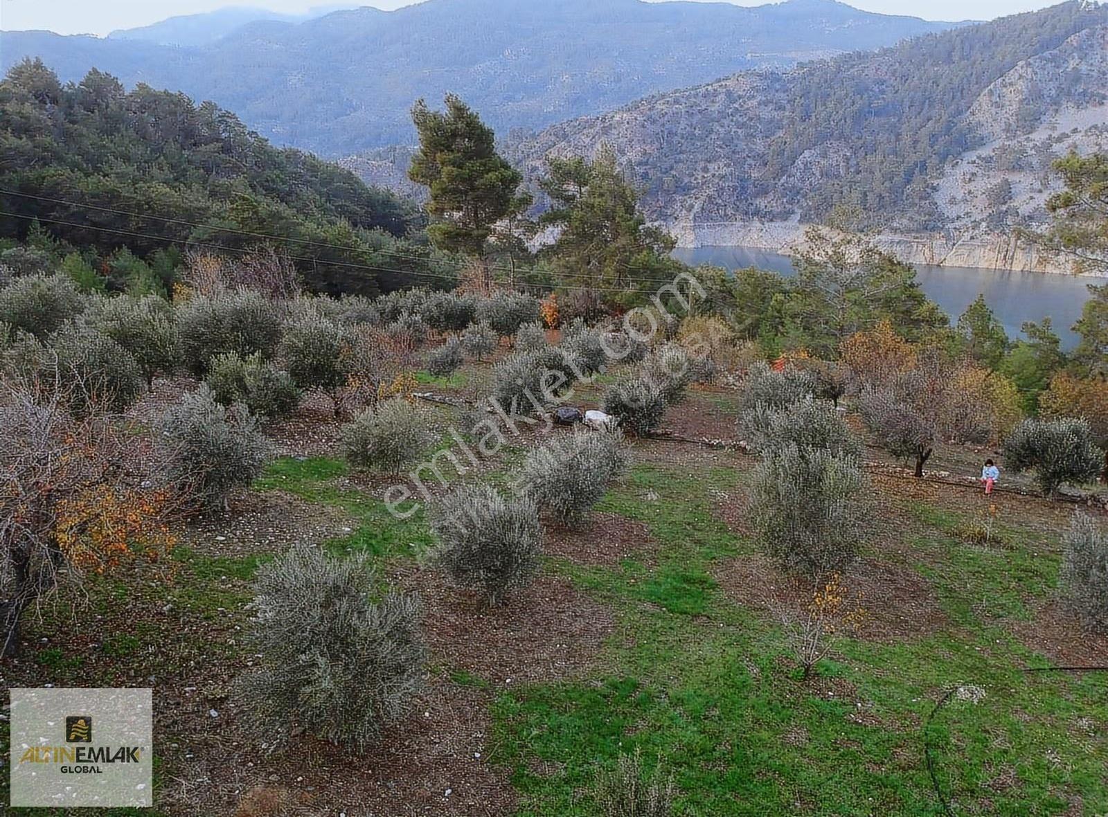 Muğla Dalaman Bozbel'de Göl Manzaralı Satılık Fırsat Tarla - Görsel 4