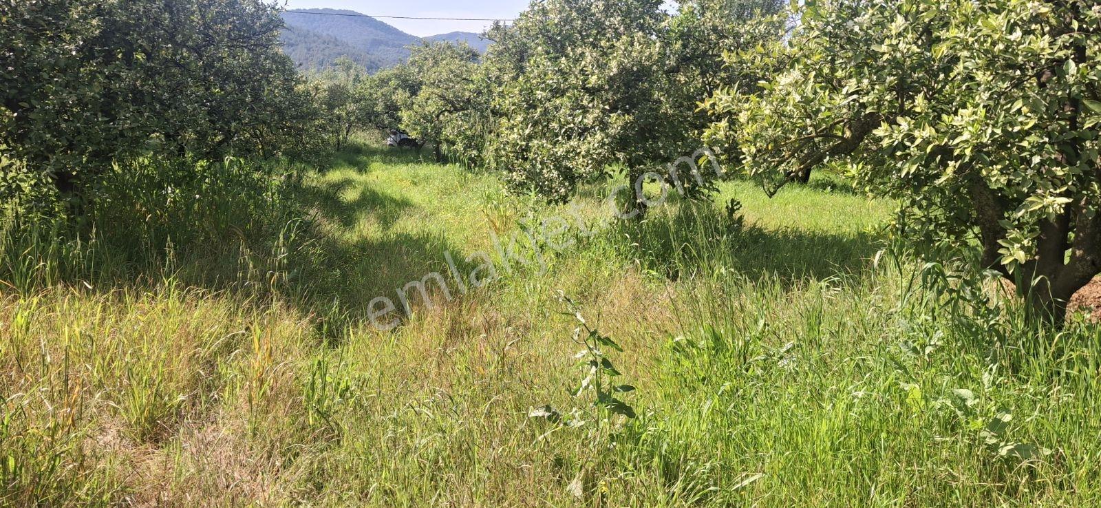 Ortaca Okçular Mah.ilkon'dan Satılık Arazi - Görsel 12