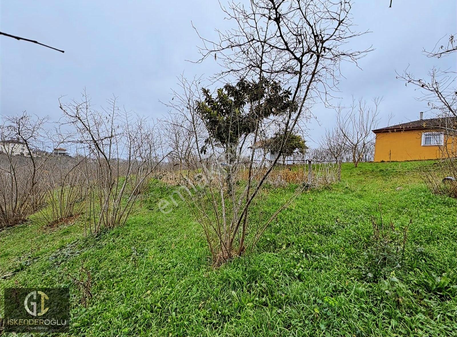 %40 İmarlı Asfalt Yola Cephe Arsa - Görsel 7