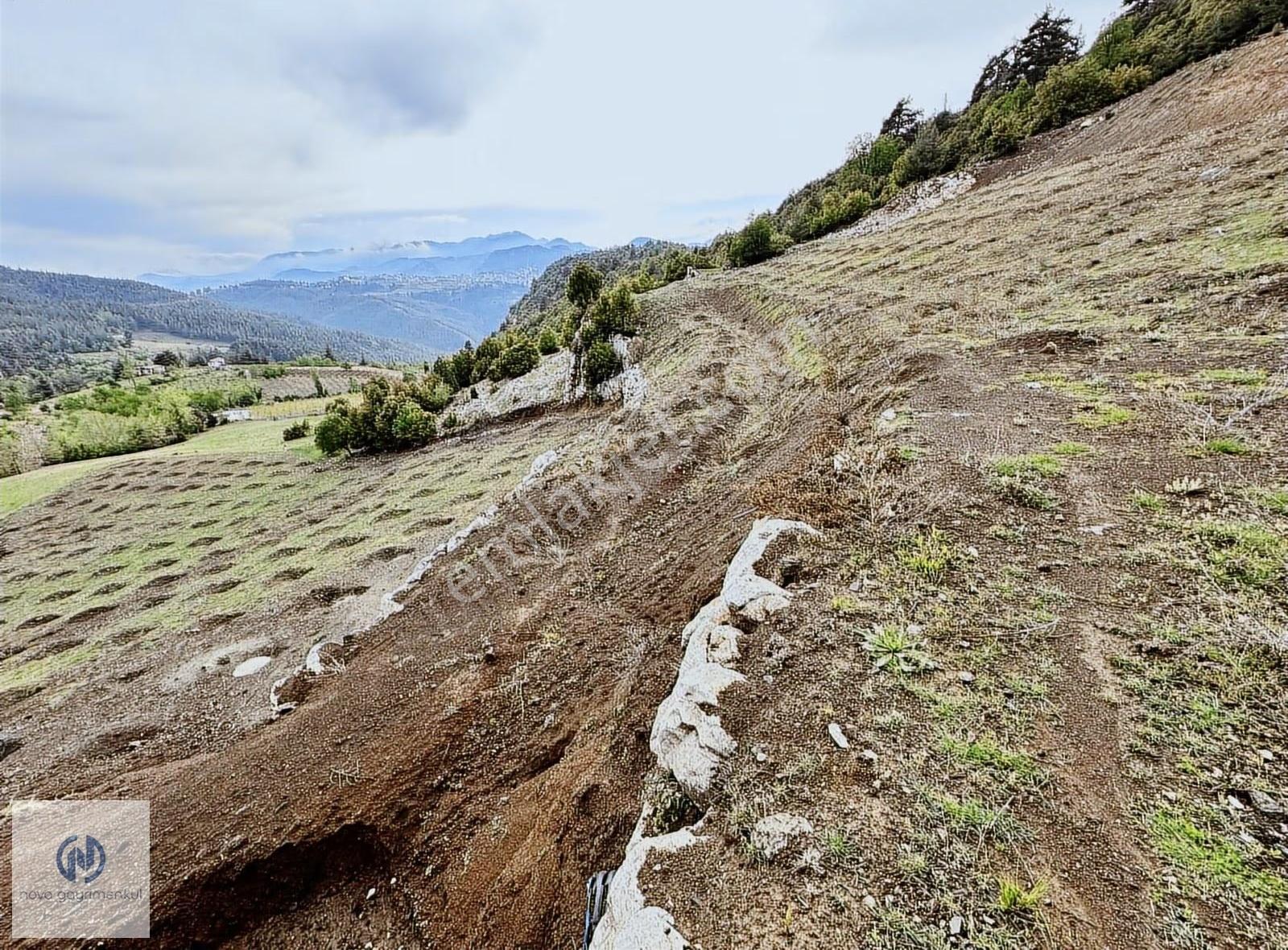 **nova** Toroslar Guzelyayla Mevkii Evcili Kızılbağ - Görsel 2
