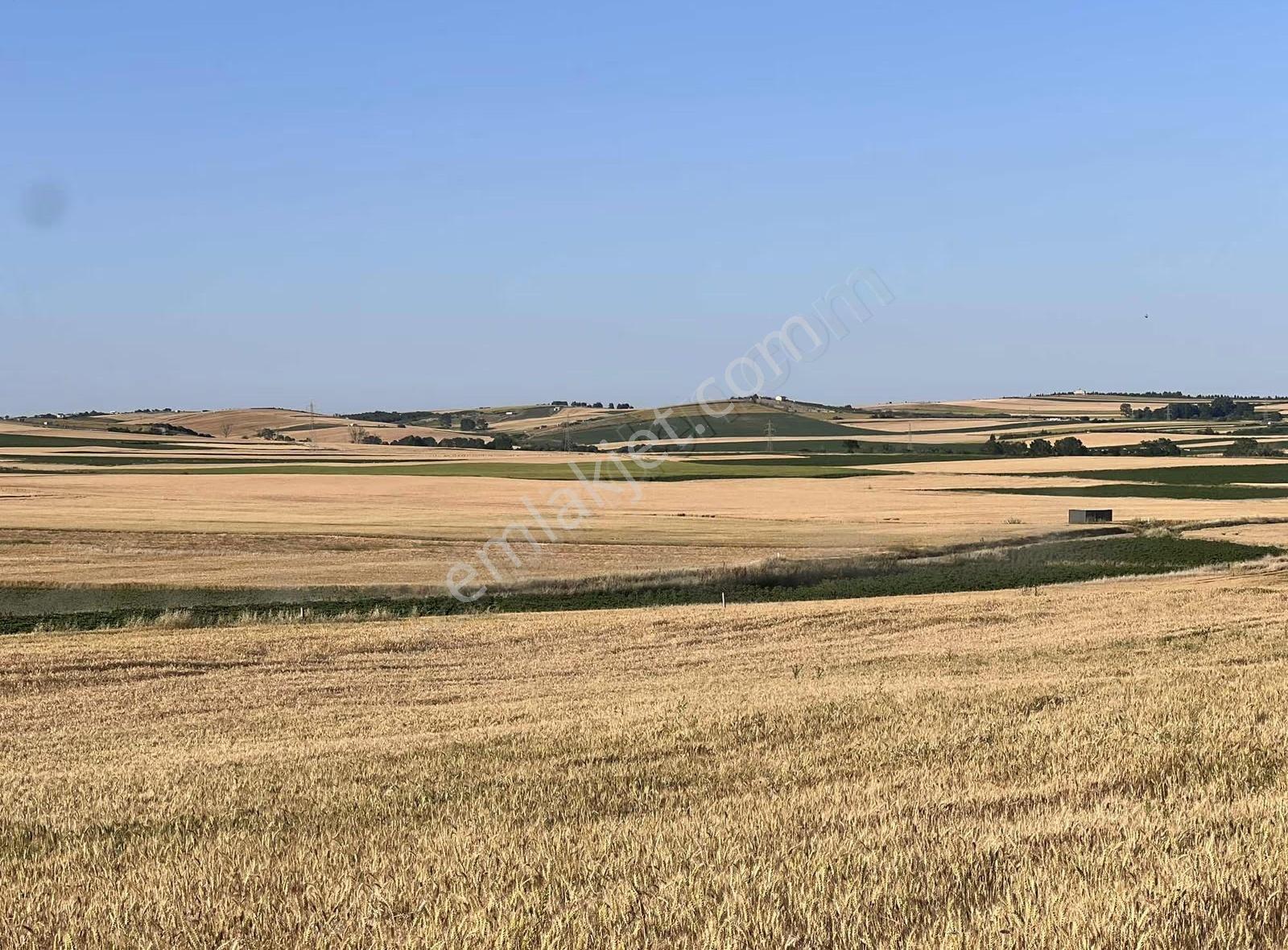 Peşinatsız 10 Ay Taksıtle İmar Ve Vila Yakın Satılık Arsa - Görsel 4