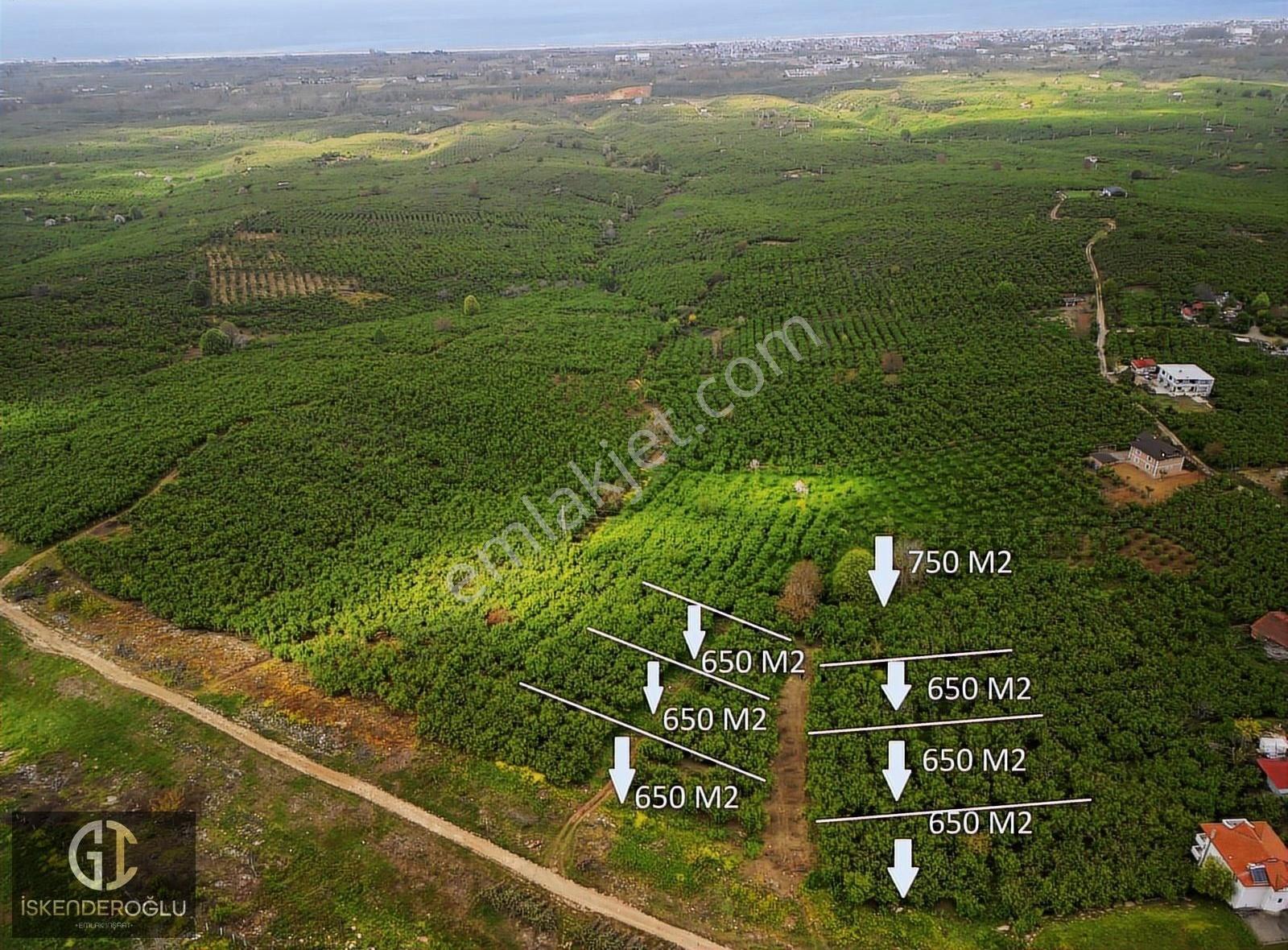 Deniz Manzaralı 650 M2 Fırsat Arsalar - Görsel 16