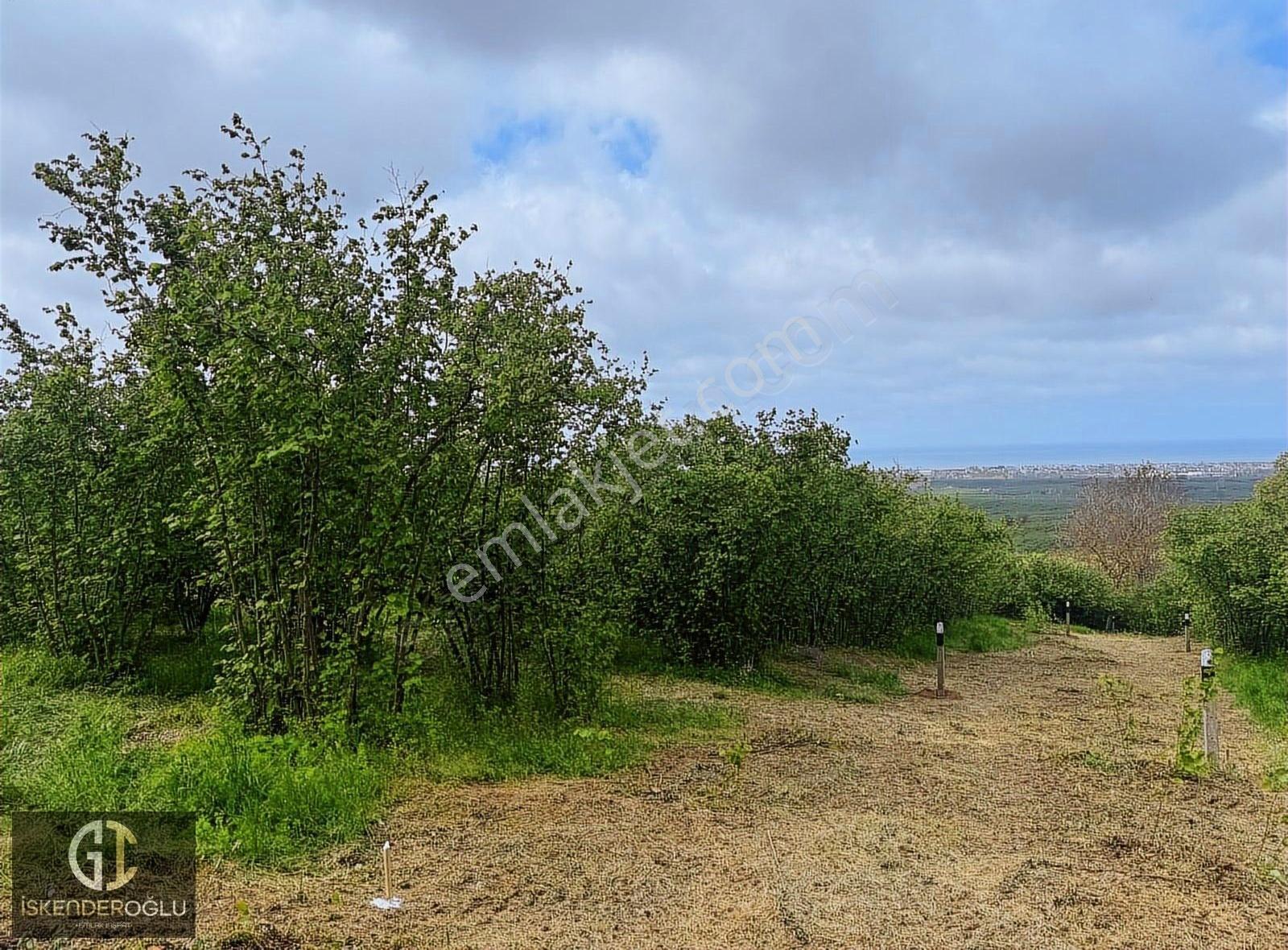 Deniz Manzaralı 650 M2 Fırsat Arsalar - Görsel 4