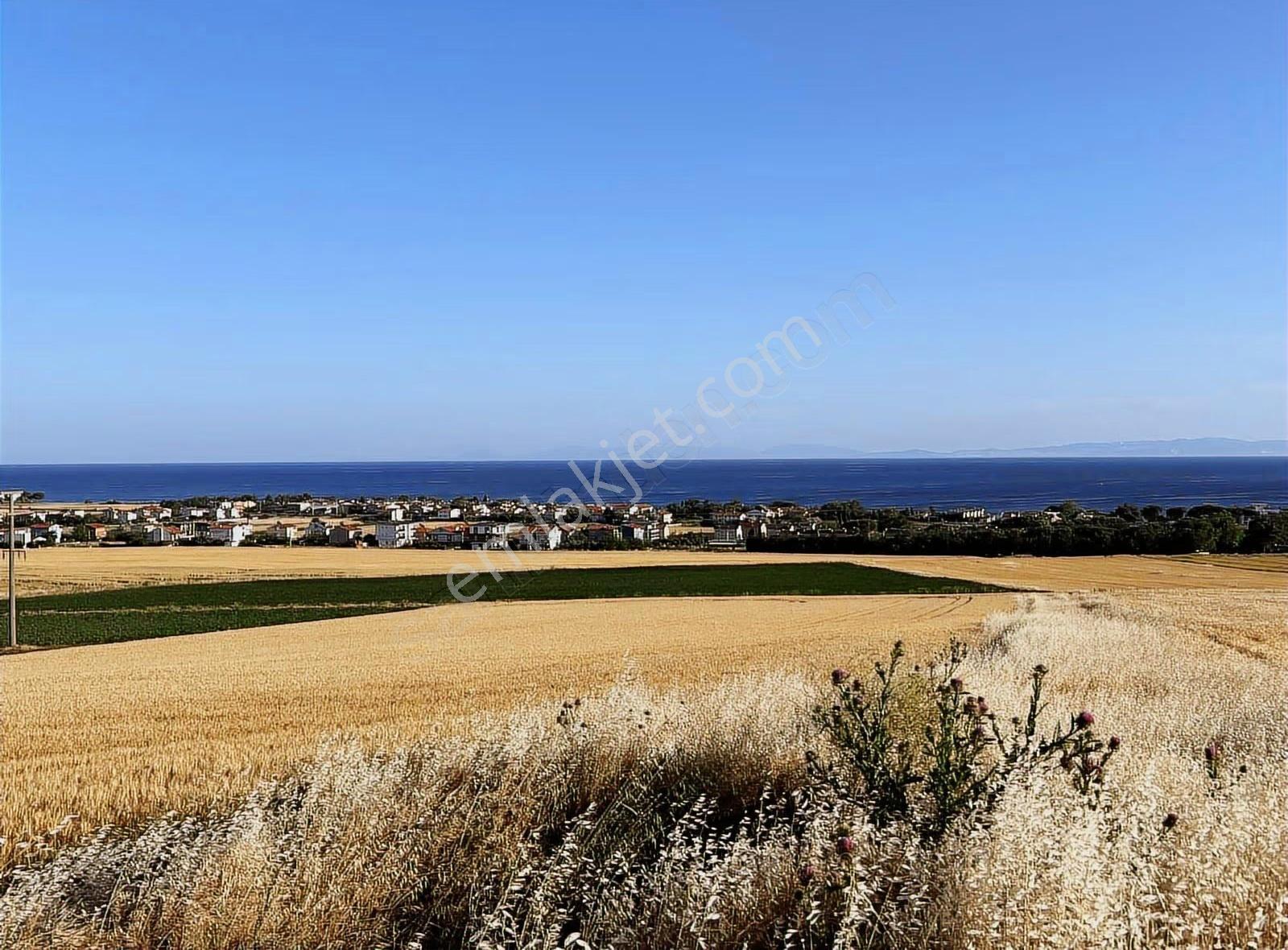 Yerleşim Alanı İçinde İmara Sinir Villa Yakın Satılık Arsa - Görsel 14