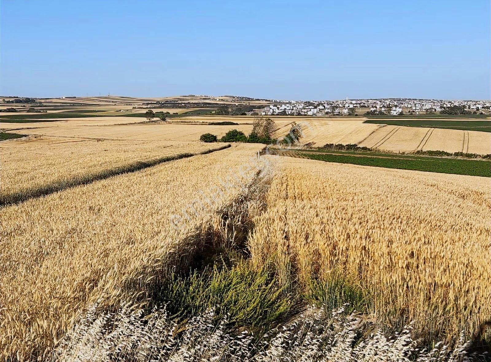 Yerleşim Alanı İçinde İmara Sinir Villa Yakın Satılık Arsa - Görsel 31