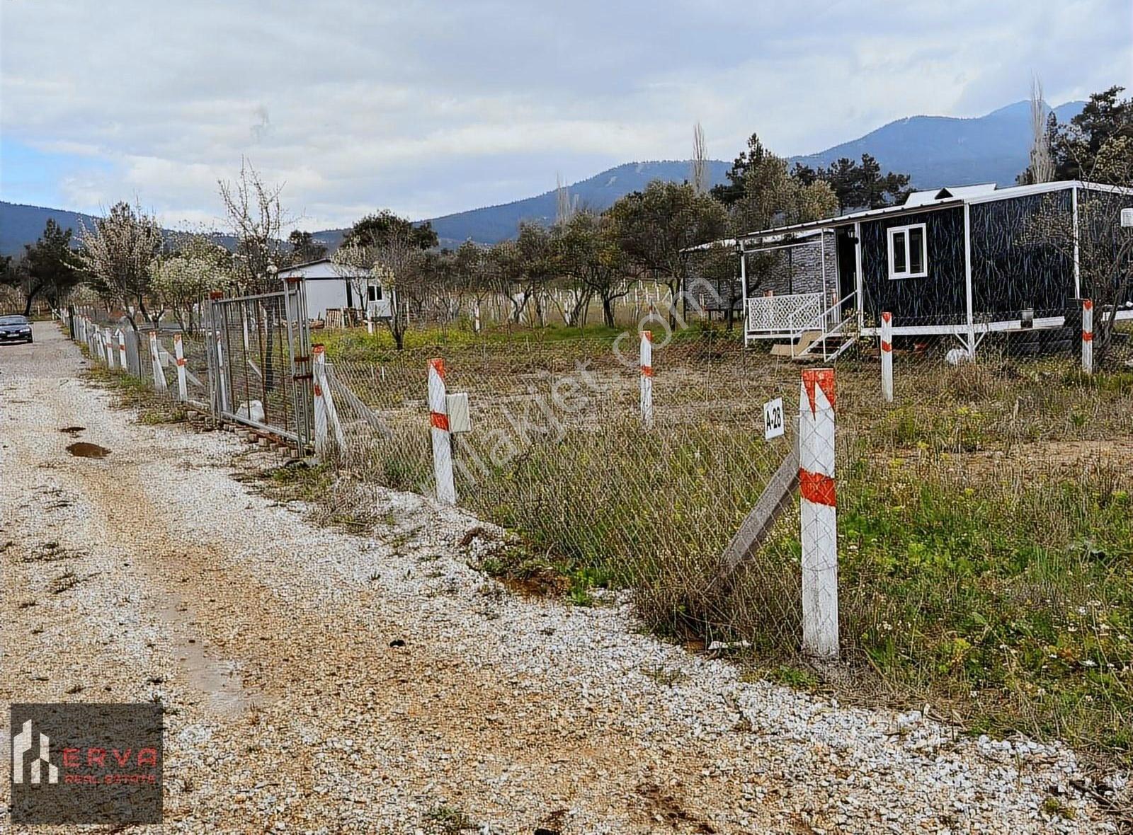 Kemalpaşa Dereköy Satılık Paylı Mülkiyet 290m2 Tarla - Görsel 4