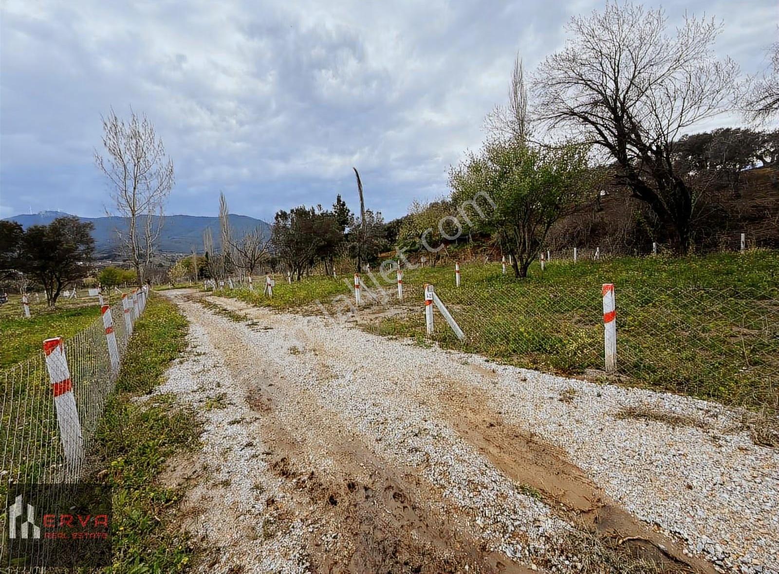 Kemalpaşa Dereköy Satılık Paylı Mülkiyet 290m2 Tarla - Görsel 2